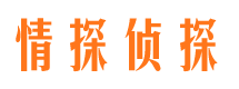 日照市场调查